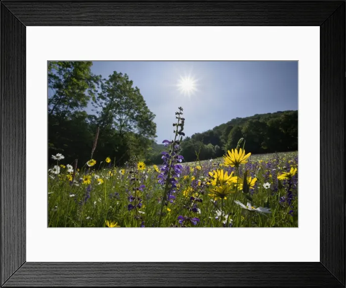 Framed Print : Picture No. 10896924 Framed Print : Picture No. 10896924