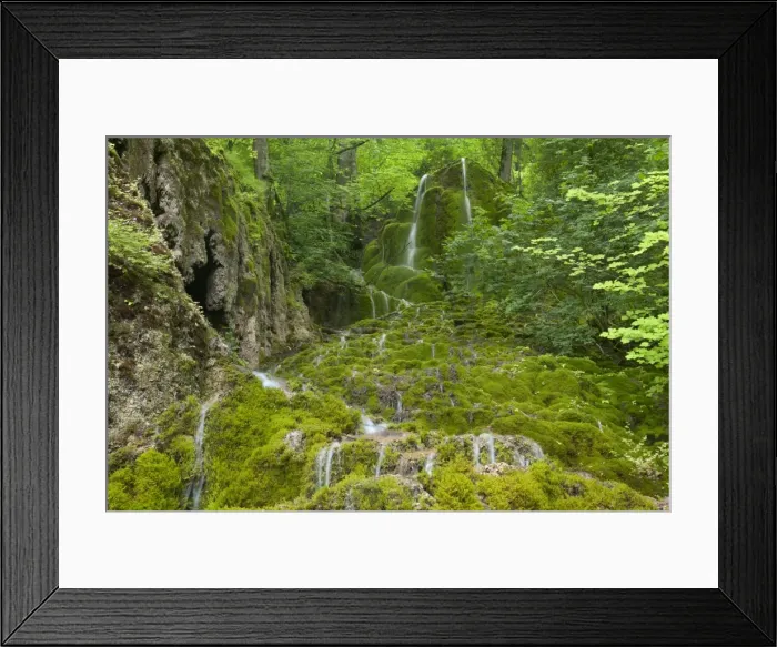 Framed Print : Picture No. 10896947 Framed Print : Picture No. 10896947