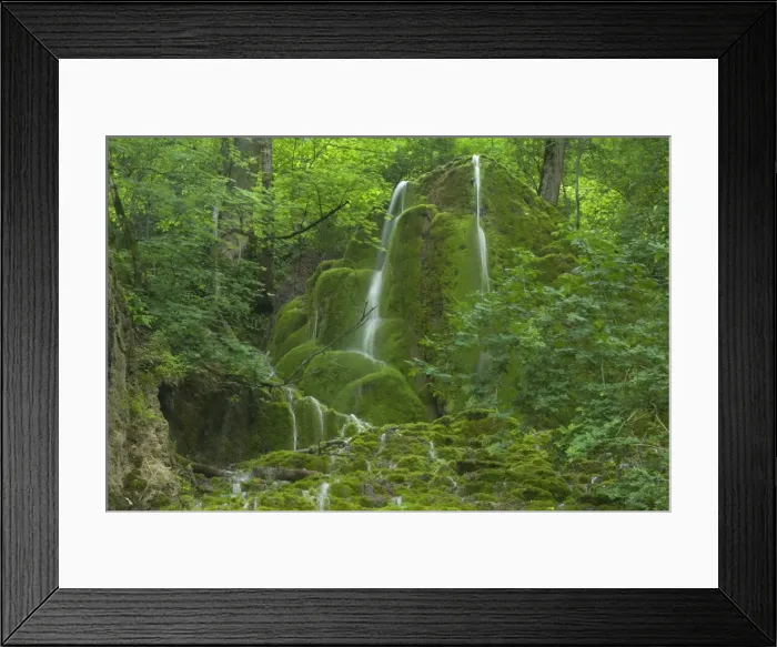 Framed Print : Picture No. 10896946