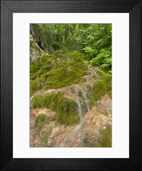Framed Print : Picture No. 10896949 Framed Print : Picture No. 10896949