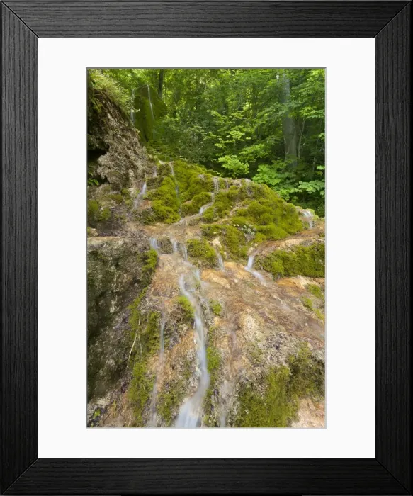 Framed Print : Picture No. 10896950 Framed Print : Picture No. 10896950
