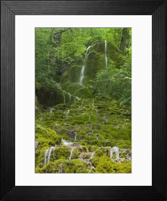 Framed Print : Picture No. 10896948 Framed Print : Picture No. 10896948