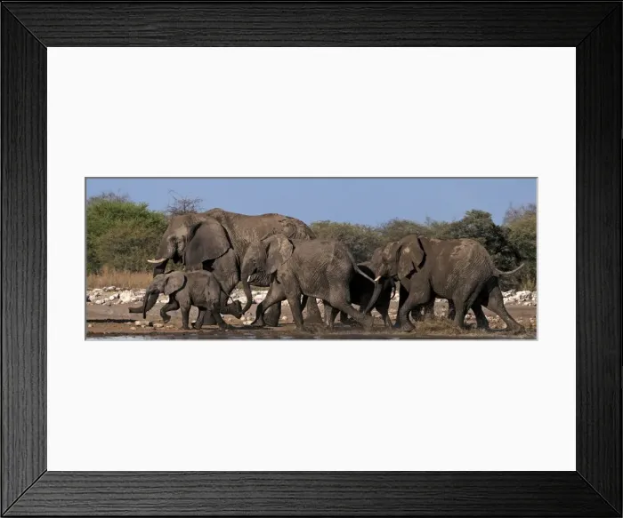 Framed Print : Picture No. 10896962 Framed Print : Picture No. 10896962