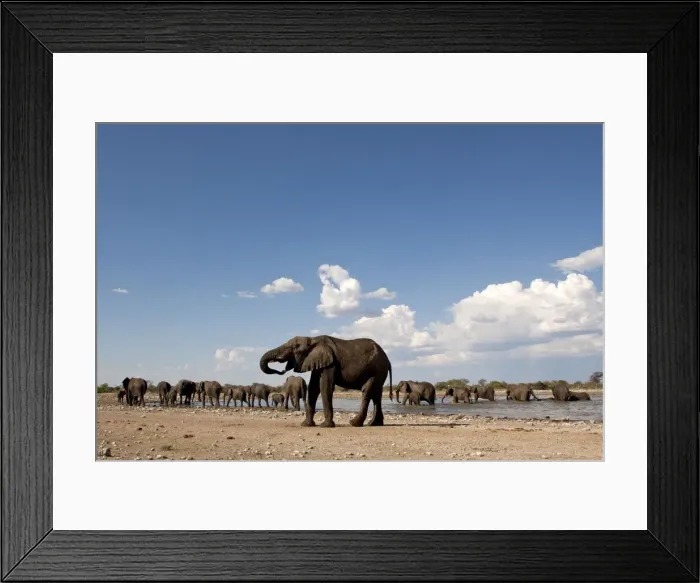 Framed Print : Picture No. 10896963 Framed Print : Picture No. 10896963