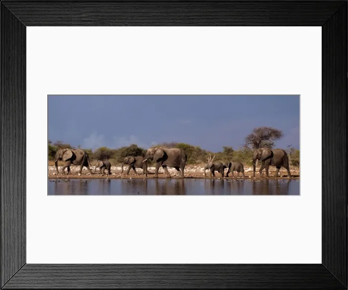 Framed Print : Picture No. 10896961 Framed Print : Picture No. 10896961