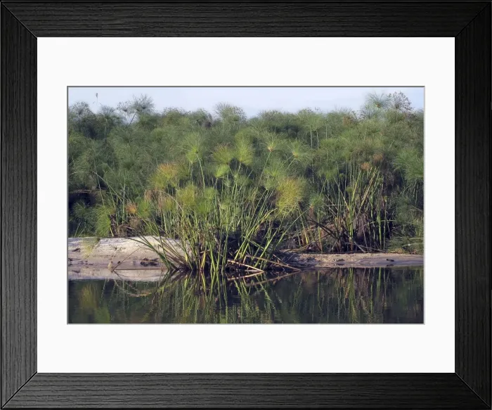 Framed Print : Picture No. 10896974 Framed Print : Picture No. 10896974