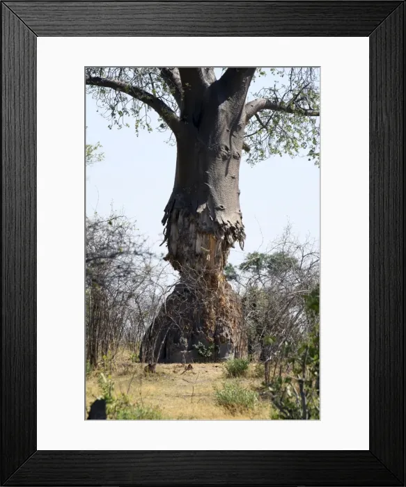 Framed Print : Picture No. 10896972 Framed Print : Picture No. 10896972
