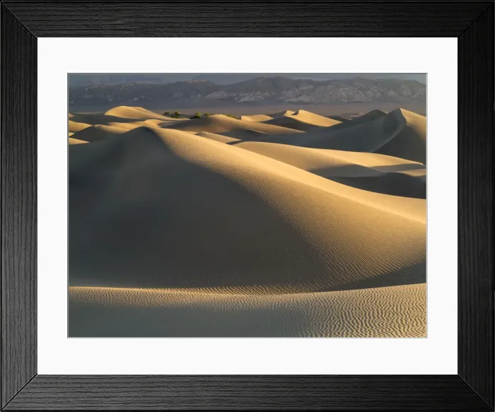 Framed Print : Picture No. 10896987 Framed Print : Picture No. 10896987