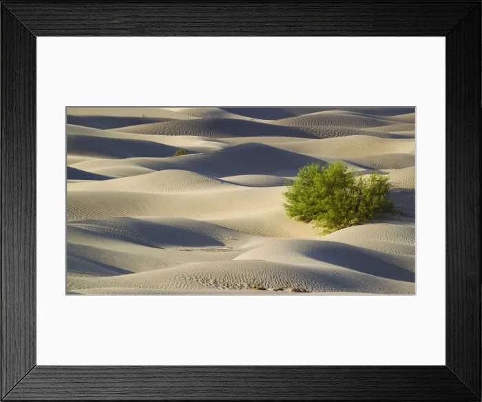 Framed Print : Picture No. 10896990 Framed Print : Picture No. 10896990