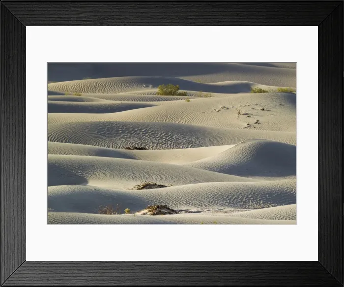 Framed Print : Picture No. 10896989 Framed Print : Picture No. 10896989