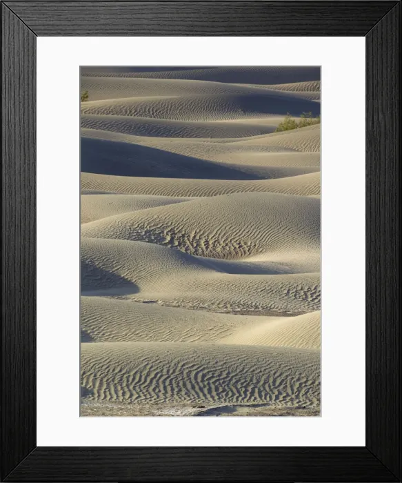 Framed Print : Picture No. 10896991 Framed Print : Picture No. 10896991