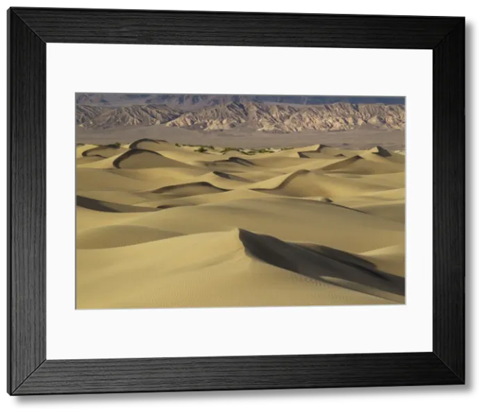 Framed Print : Picture No. 10896997 Framed Print : Picture No. 10896997