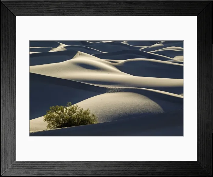 Framed Print : Picture No. 10896993 Framed Print : Picture No. 10896993