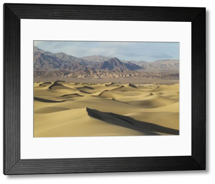 Framed Print : Picture No. 10896998