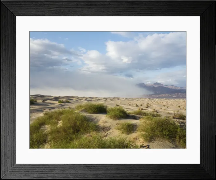 Framed Print : Picture No. 10897003 Framed Print : Picture No. 10897003