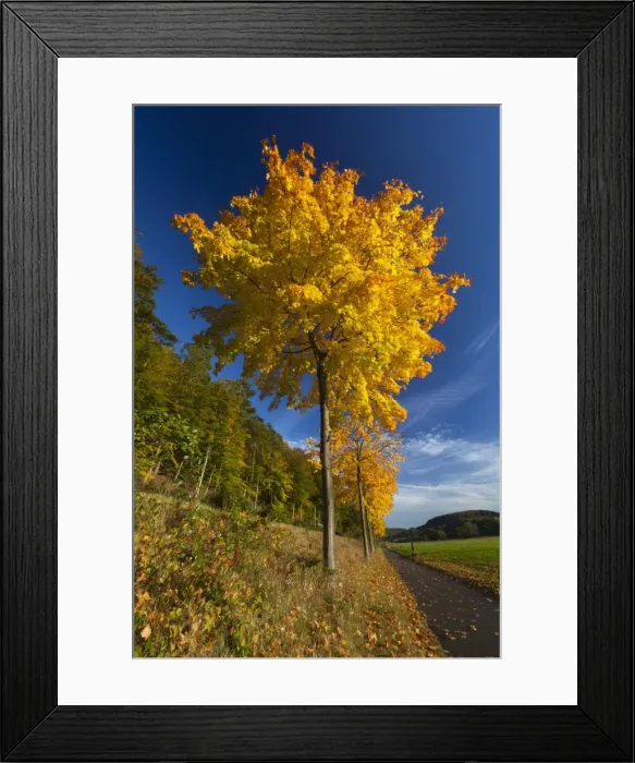 Framed Print : Picture No. 10901034 Framed Print : Picture No. 10901034
