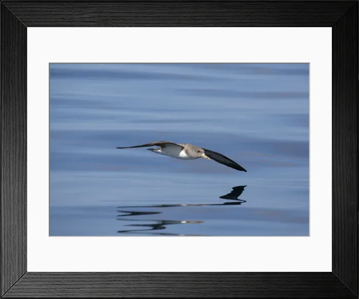 Framed Print : Picture No. 10901056 Framed Print : Picture No. 10901056