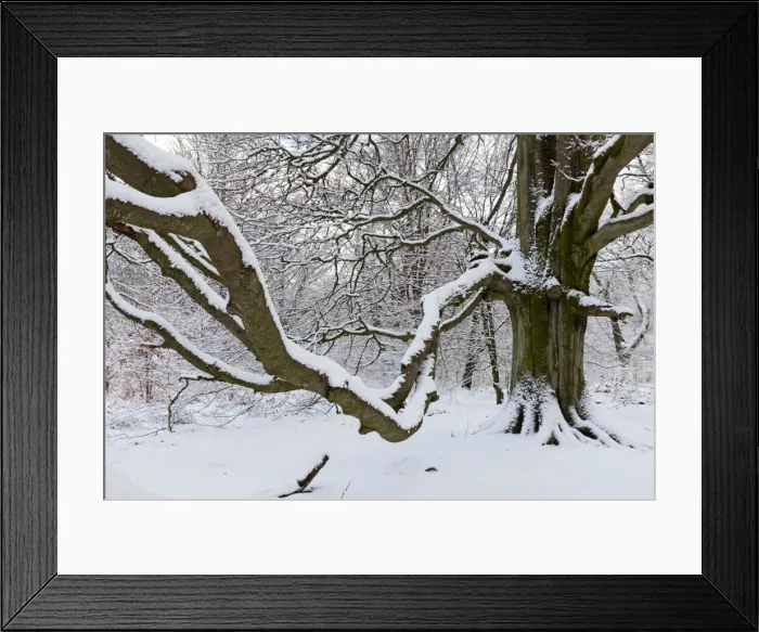 Framed Print : Picture No. 10901061 Framed Print : Picture No. 10901061