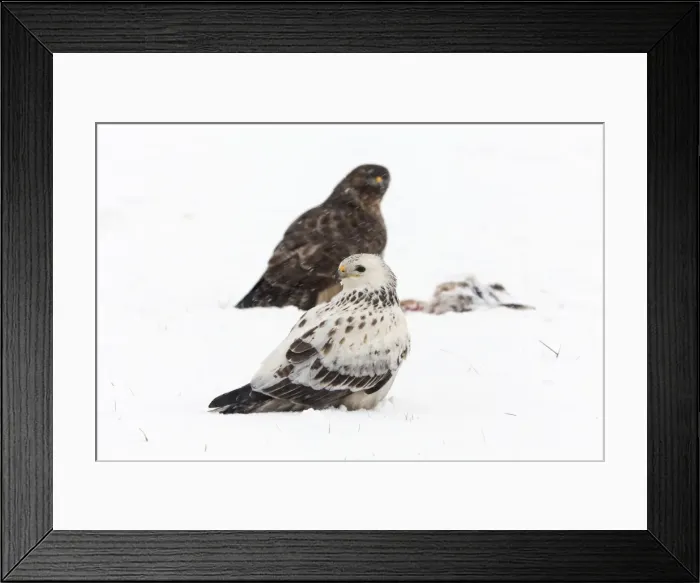Framed Print : Picture No. 10901080 Framed Print : Picture No. 10901080