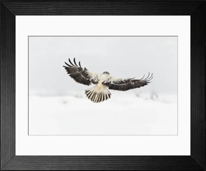 Framed Print : Picture No. 10901079 Framed Print : Picture No. 10901079
