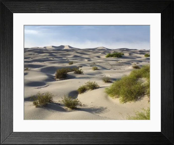Framed Print : Picture No. 10897001 Framed Print : Picture No. 10897001