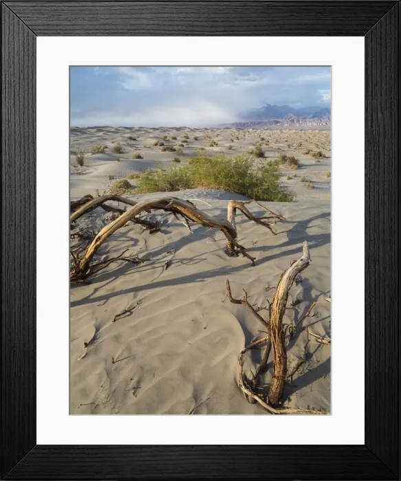 Framed Print : Picture No. 10897004 Framed Print : Picture No. 10897004