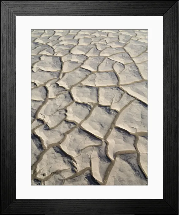 Framed Print : Picture No. 10897008
