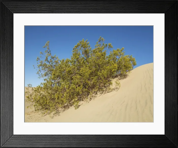 Framed Print : Picture No. 10897007 Framed Print : Picture No. 10897007