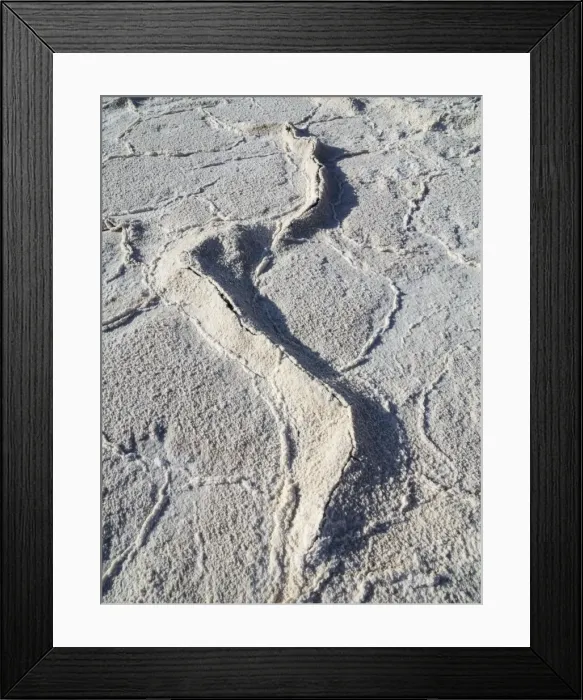 Framed Print : Picture No. 10897027 Framed Print : Picture No. 10897027