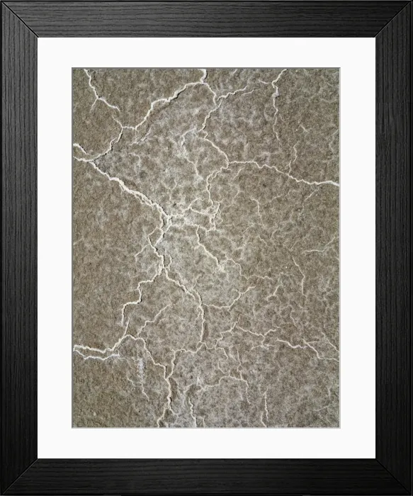 Framed Print : Picture No. 10897042 Framed Print : Picture No. 10897042