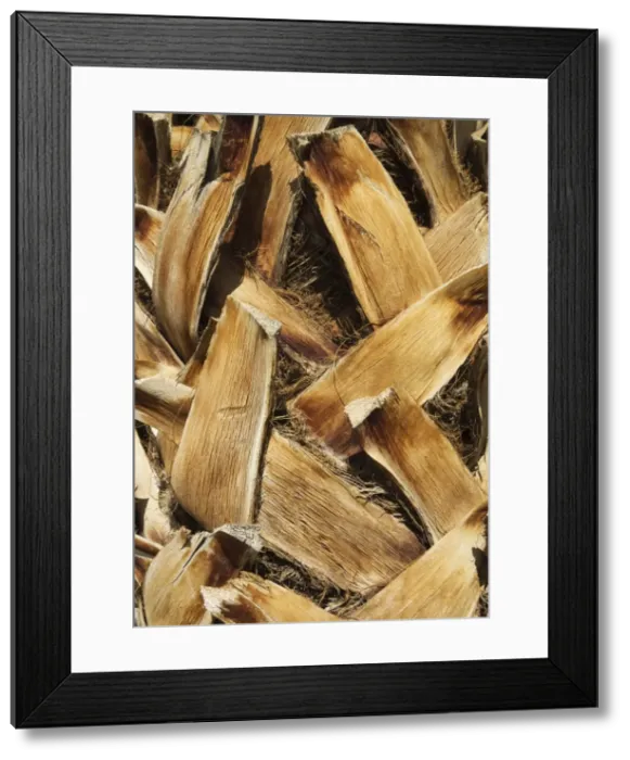 Framed Print : Picture No. 10897084 Framed Print : Picture No. 10897084