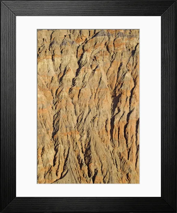 Framed Print : Picture No. 10897082