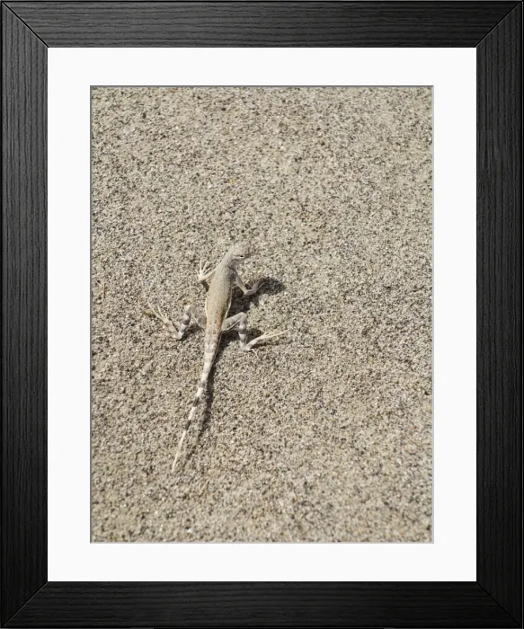 Framed Print : Picture No. 10897088 Framed Print : Picture No. 10897088