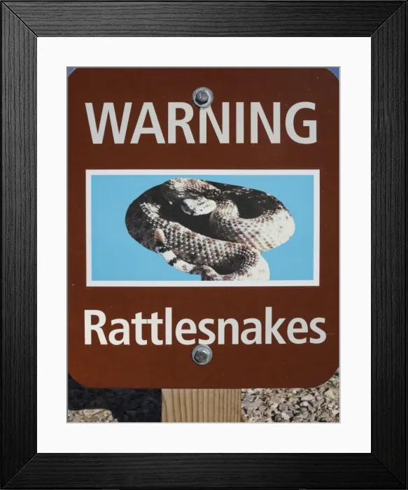 Framed Print : Picture No. 10897106 Framed Print : Picture No. 10897106