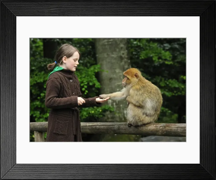 Framed Print : Picture No. 10909491 Framed Print : Picture No. 10909491