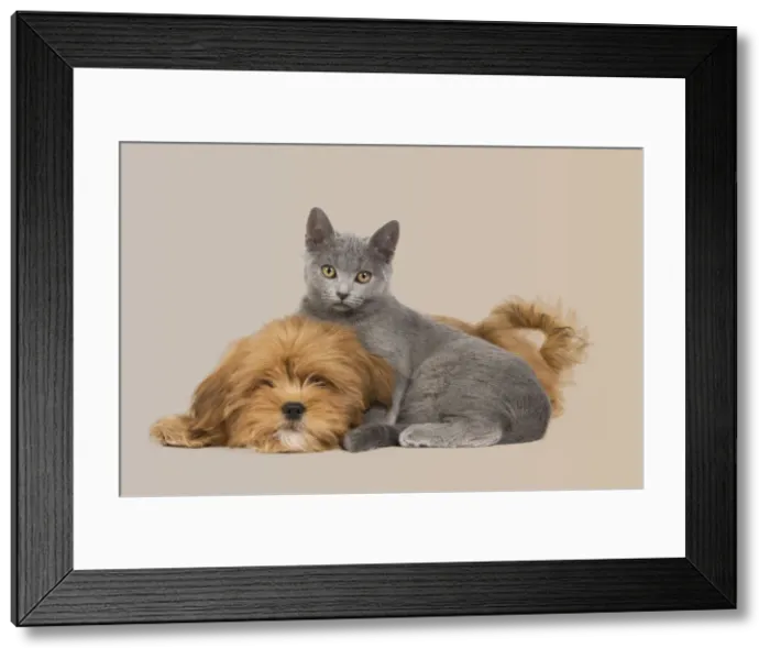 Framed Print : Picture No. 10897168 Framed Print : Picture No. 10897168