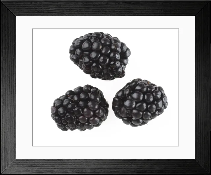Framed Print : Picture No. 10897178 Framed Print : Picture No. 10897178