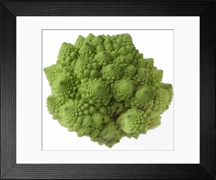 Framed Print : Picture No. 10897179 Framed Print : Picture No. 10897179