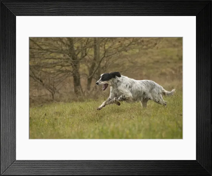 Framed Print : Picture No. 10897183 Framed Print : Picture No. 10897183