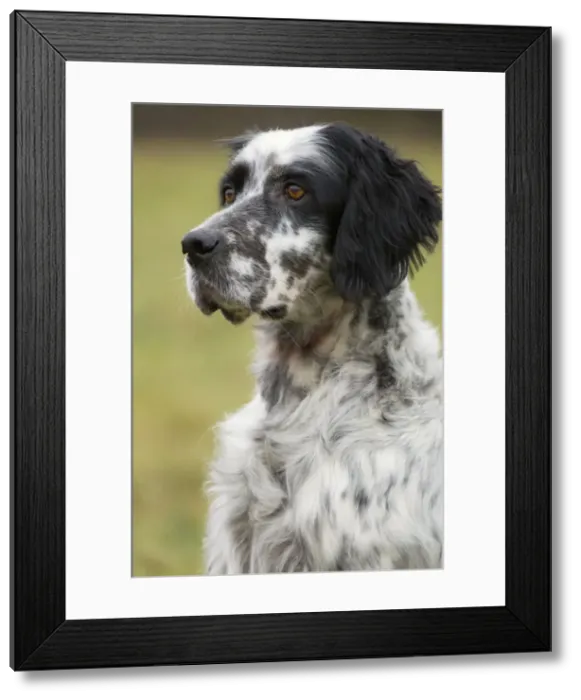 Framed Print : Picture No. 10897190 Framed Print : Picture No. 10897190