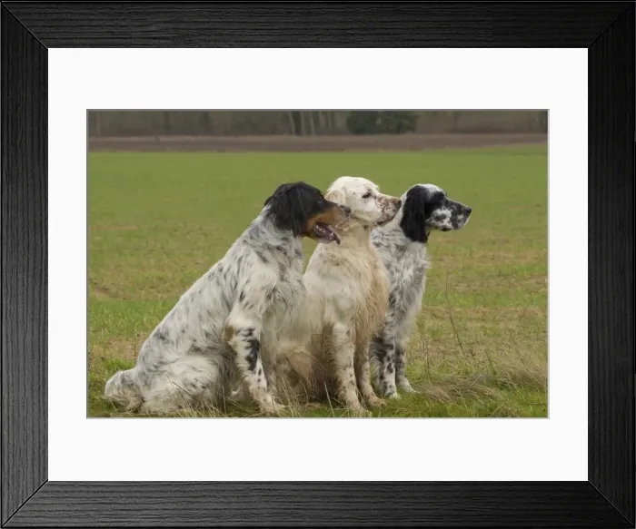 Framed Print : Picture No. 10897196 Framed Print : Picture No. 10897196