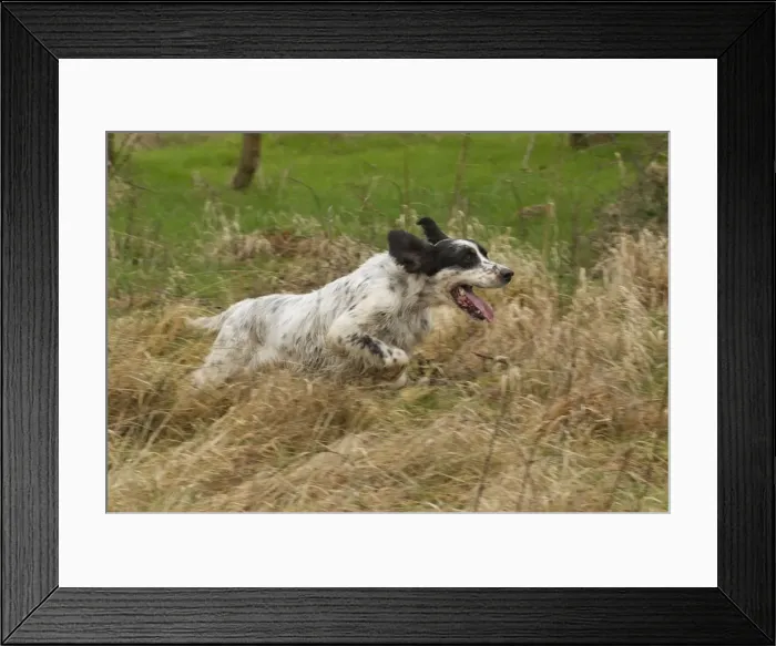 Framed Print : Picture No. 10897194 Framed Print : Picture No. 10897194