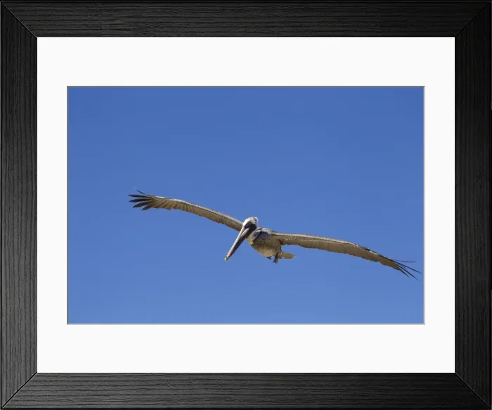 Framed Print : Picture No. 10897210 Framed Print : Picture No. 10897210