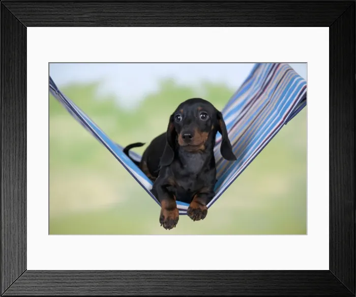 Framed Print : Picture No. 10897276 Framed Print : Picture No. 10897276