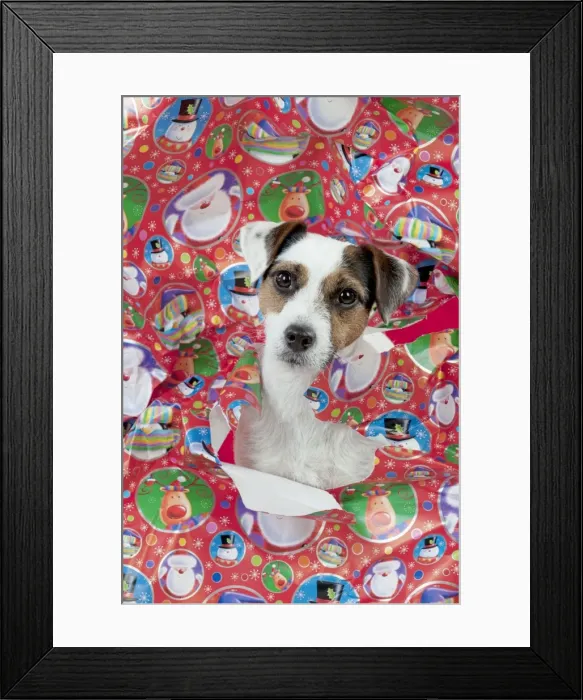 Framed Print : Picture No. 10897274 Framed Print : Picture No. 10897274