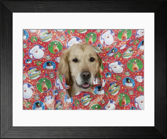 Framed Print : Picture No. 10897273 Framed Print : Picture No. 10897273