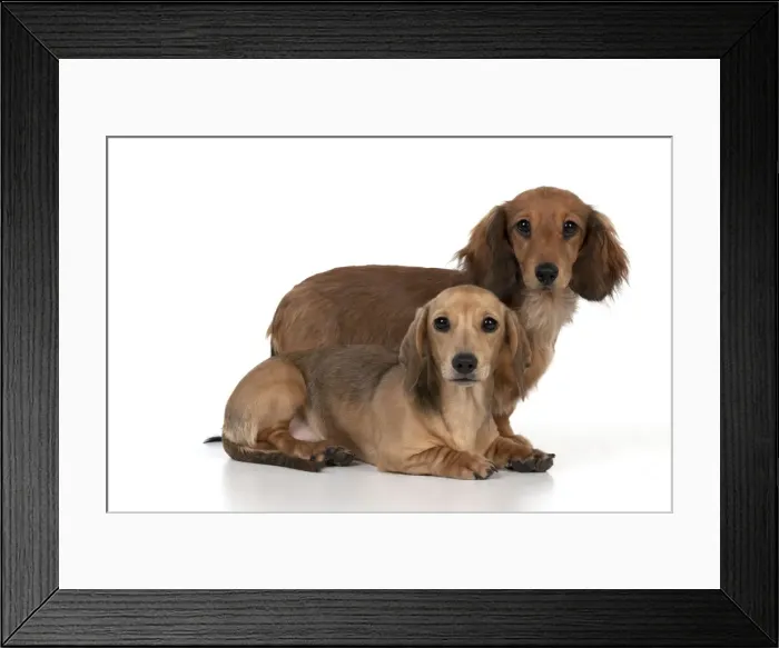 Framed Print : Picture No. 10897285 Framed Print : Picture No. 10897285