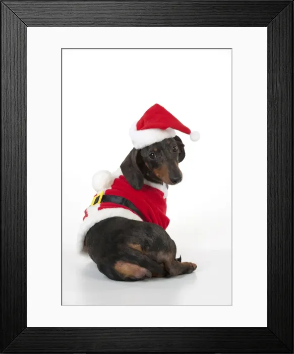 Framed Print : Picture No. 10897299 Framed Print : Picture No. 10897299