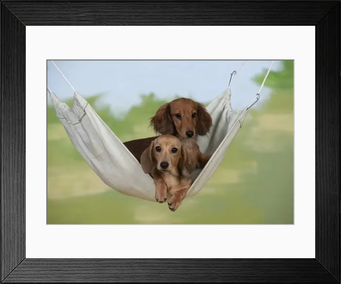 Framed Print : Picture No. 10897298 Framed Print : Picture No. 10897298