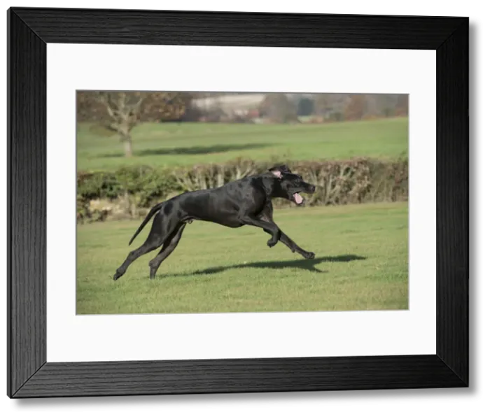 Framed Print : Picture No. 10897309 Framed Print : Picture No. 10897309